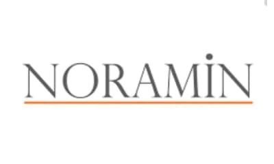Noramin logo